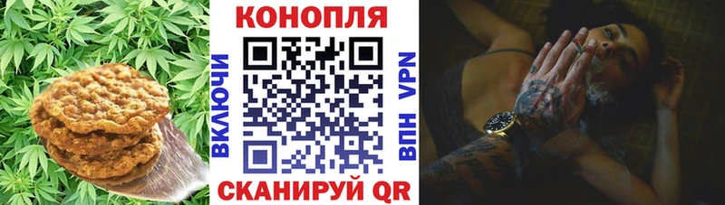 Купить закладки  Кулебаки  Печенье с ТГК марихуана 