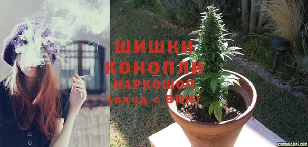 прущие крисы Надым