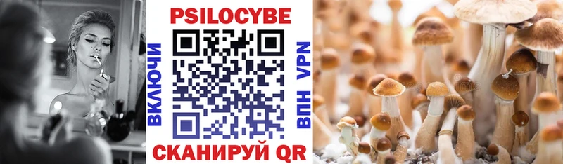 Псилоцибиновые грибы Psilocybine cubensis  Купить где  Кулебаки 